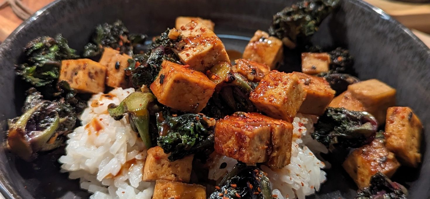 Flower Sprouts mit Reis, Tofu und selbstgemachter Teriyakisauce