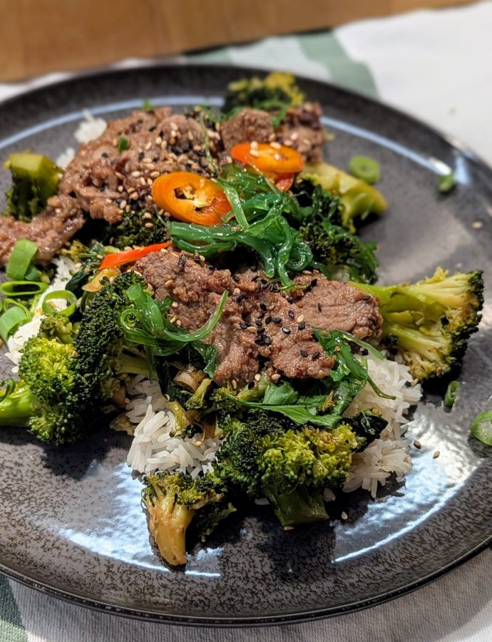 Bulgogi-koreanisches Feuerfleisch
