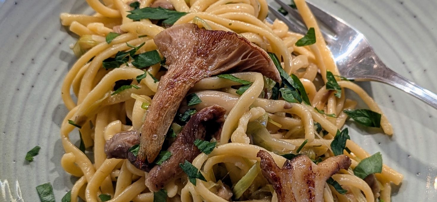 Pasta mit Kräuterseitlingen, Steinpilzen und Lauch