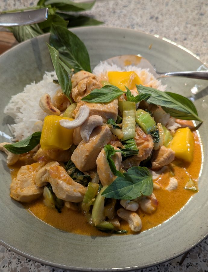 Hähnchen-Mango-Curry